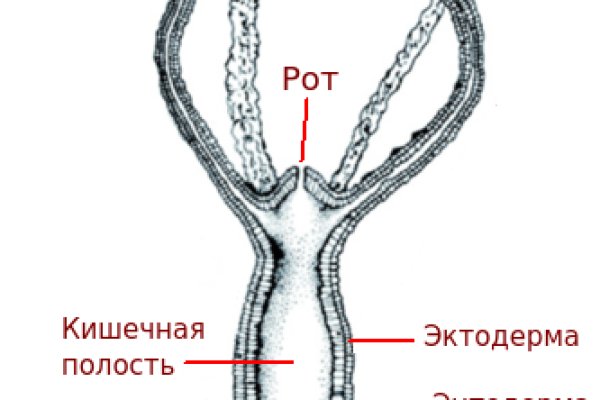 Kraken магазин интернет